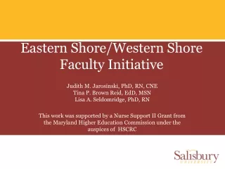 Eastern Shore/Western Shore Faculty Initiative