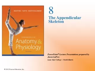 8 The Appendicular Skeleton