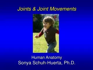 Joints &amp; Joint Movements Human Anatomy Sonya Schuh-Huerta, Ph.D.