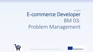 e-COMMA E-commerce Developer BM 0 3:  Problem Management