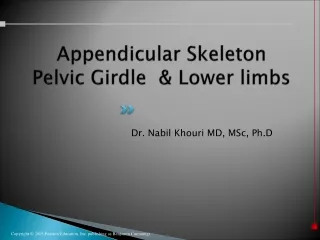 Appendicular  Skeleton Pelvic Girdle  &amp; Lower limbs