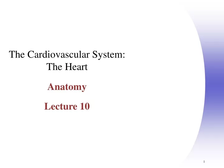 the cardiovascular system the heart anatomy lecture 10