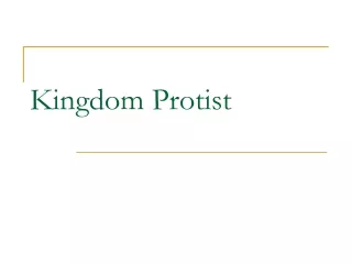 Kingdom Protist