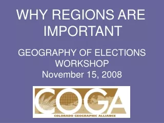 GEOGRAPHY OF ELECTIONS WORKSHOP November 15, 2008
