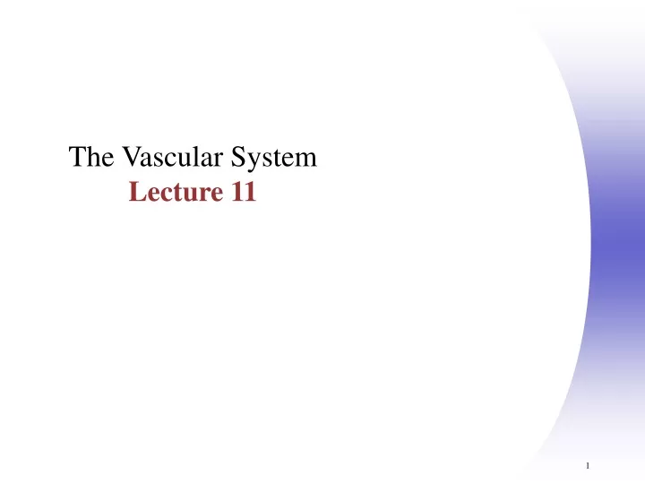 the vascular system lecture 11