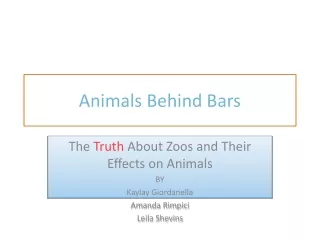 Animals Behind Bars