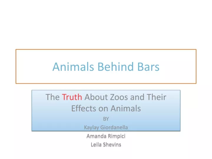 animals behind bars