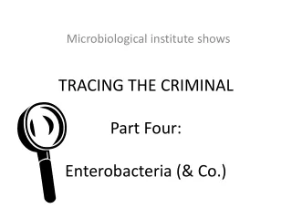 TRACING THE CRIMINAL Part Four: Enterobacteria (&amp; Co.)
