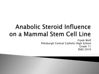 Anabolic Steroid Influence on a Mammal Stem Cell Line