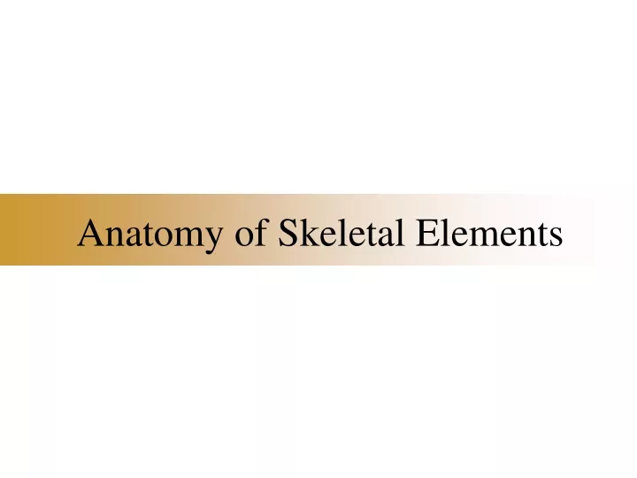 anatomy of skeletal elements