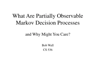 What Are Partially Observable Markov Decision Processes