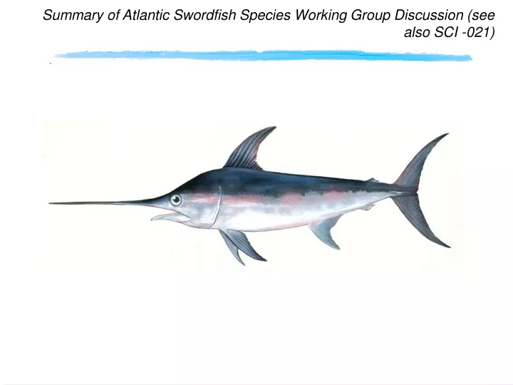 summary of atlantic swordfish species working group discussion see also sci 021