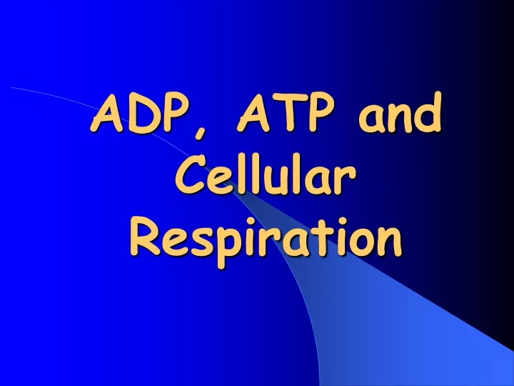 adp atp and cellular respiration