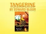 Tangerine by edward bloor
