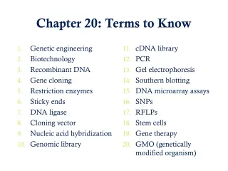 Chapter 20: Terms to Know