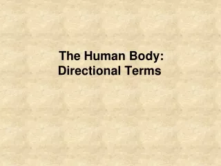 The Human Body:  Directional Terms