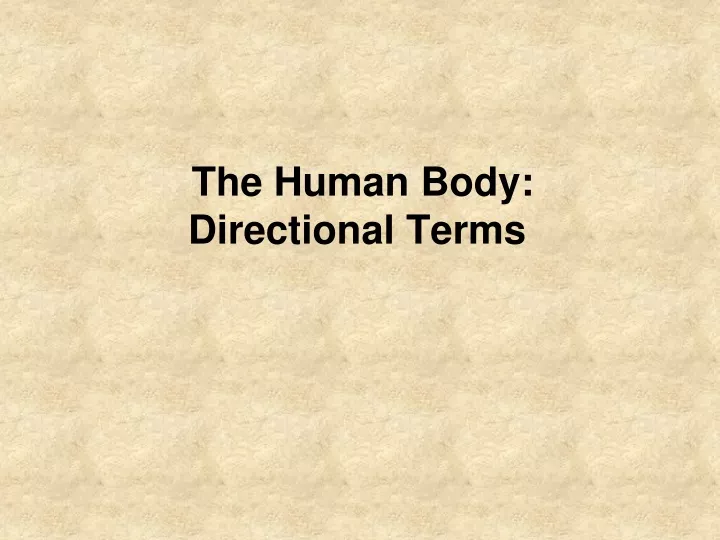 the human body directional terms