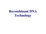 PPT - Recombinant DNA Technology PowerPoint Presentation, free download ...