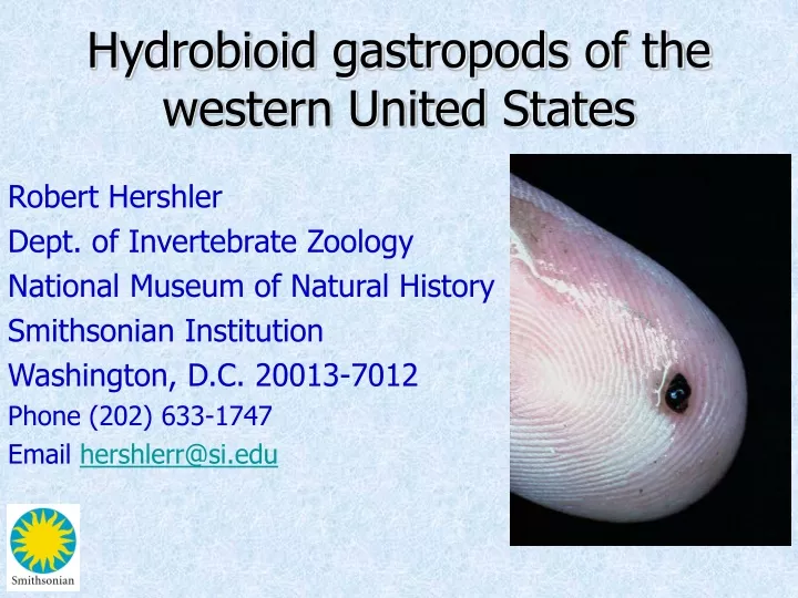 hydrobioid gastropods of the western united states