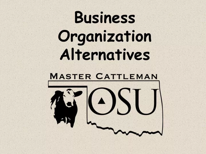 business organization alternatives