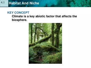 KEY CONCEPT  Climate is a key abiotic factor that affects the biosphere.