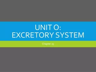 Unit O: Excretory System