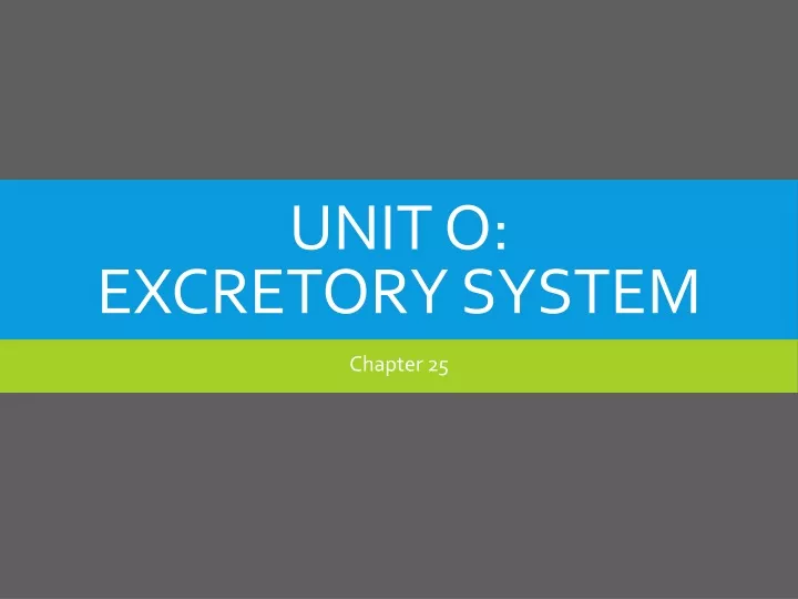 unit o excretory system