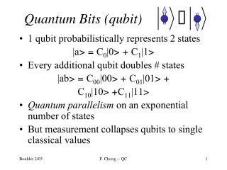 Quantum Bits (qubit)