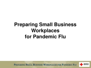 Preparing Small Business  Workplaces  for Pandemic Flu