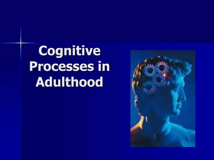 cognitive processes in adulthood