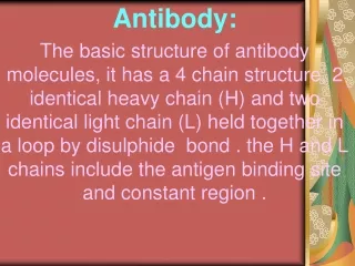 Antibody: