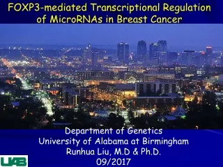 FOXP3-mediated Transcriptional Regulation of MicroRNAs in Breast Cancer