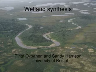 Wetland synthesis