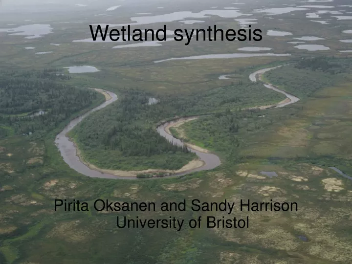 wetland synthesis