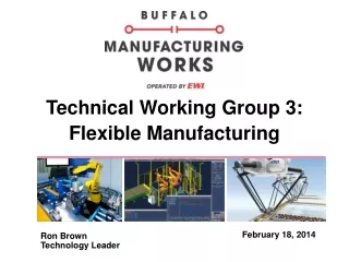 Technical Working Group 3: Flexible Manufacturing