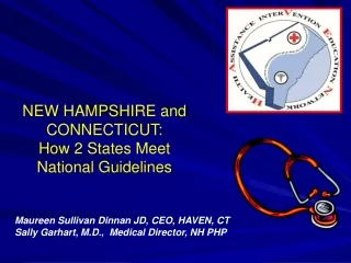 NEW HAMPSHIRE and CONNECTICUT:  How 2 States Meet National Guidelines