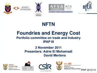 NFTN Foundries and Energy Cost Portfolio committee on trade and Industry IPAP III