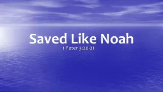 Saved Like Noah