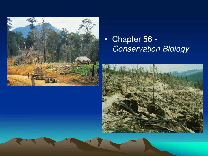 chapter 56 conservation biology