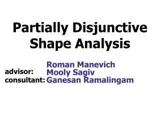 Partially Disjunctive Shape Analysis