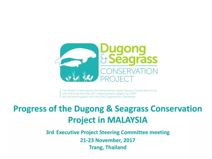 progress of the dugong seagrass conservation