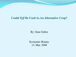 Could  Teff  Be Used As An Alternative Crop?