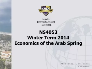 NS4053  Winter Term 2014 Economics of the Arab Spring