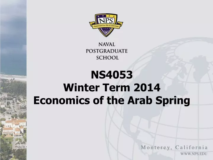 ns4053 winter term 2014 economics of the arab spring