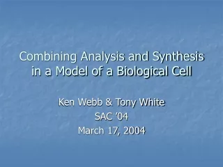 Combining Analysis and Synthesis in a Model of a Biological Cell