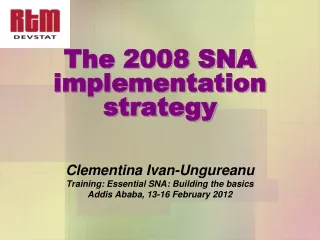 The 2008 SNA implementation strategy