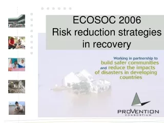 ECOSOC 2006 Risk reduction strategies in recovery