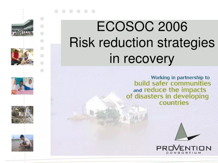 ecosoc 2006 risk reduction strategies in recovery