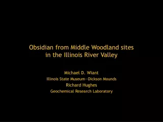 Obsidian from Middle Woodland sites in the Illinois River Valley