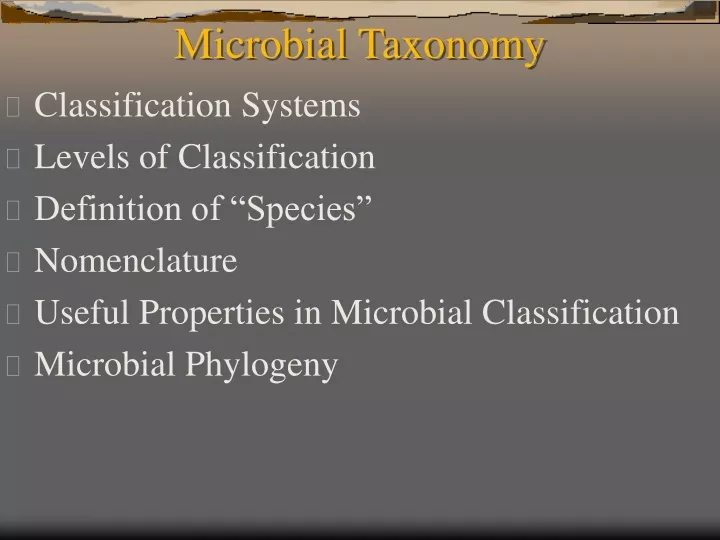 microbial taxonomy